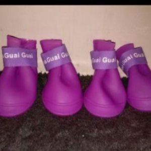 Dog boots